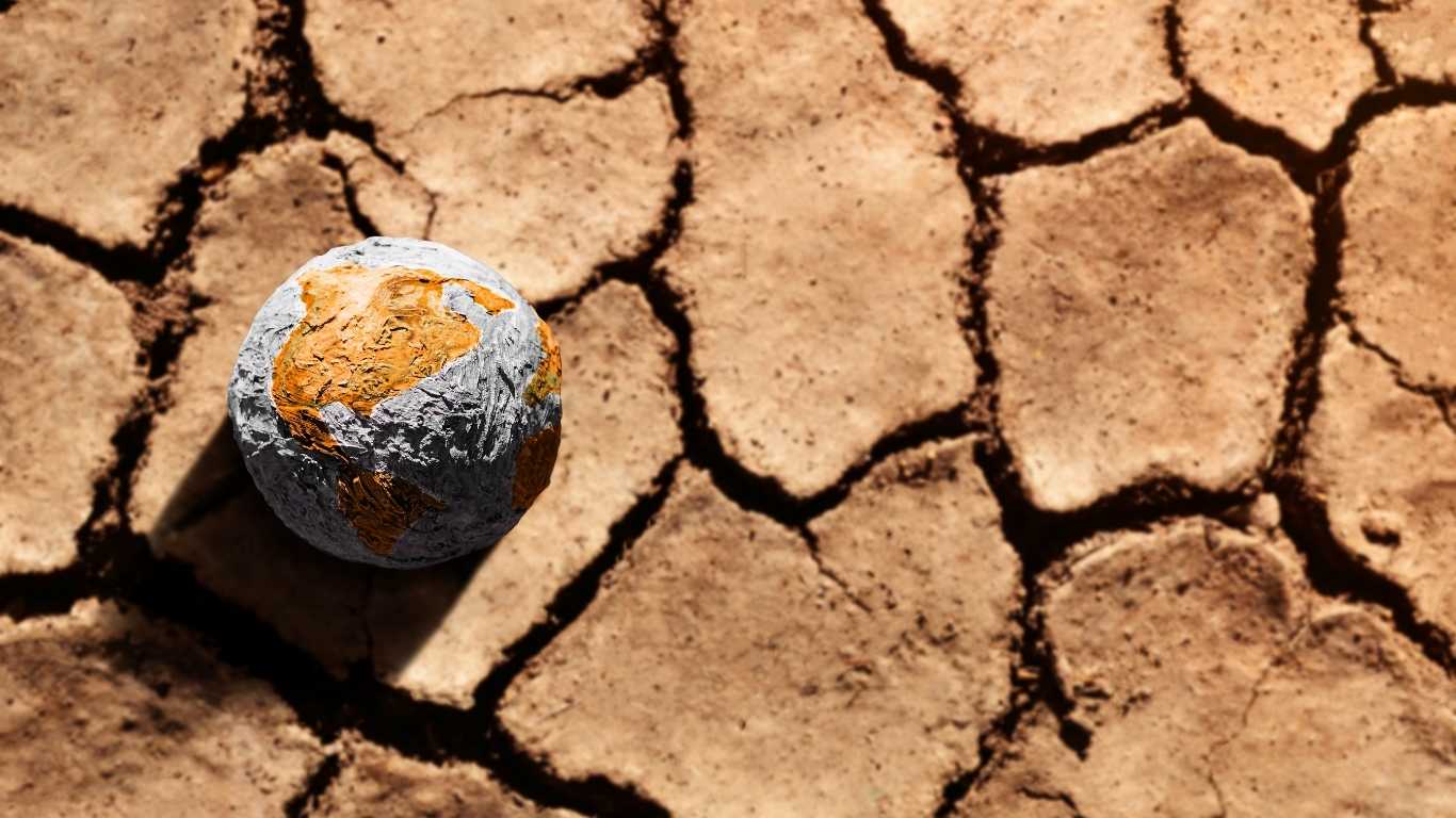 Lee más sobre el artículo Celebramos el Día Internacional contra el Cambio Climático  