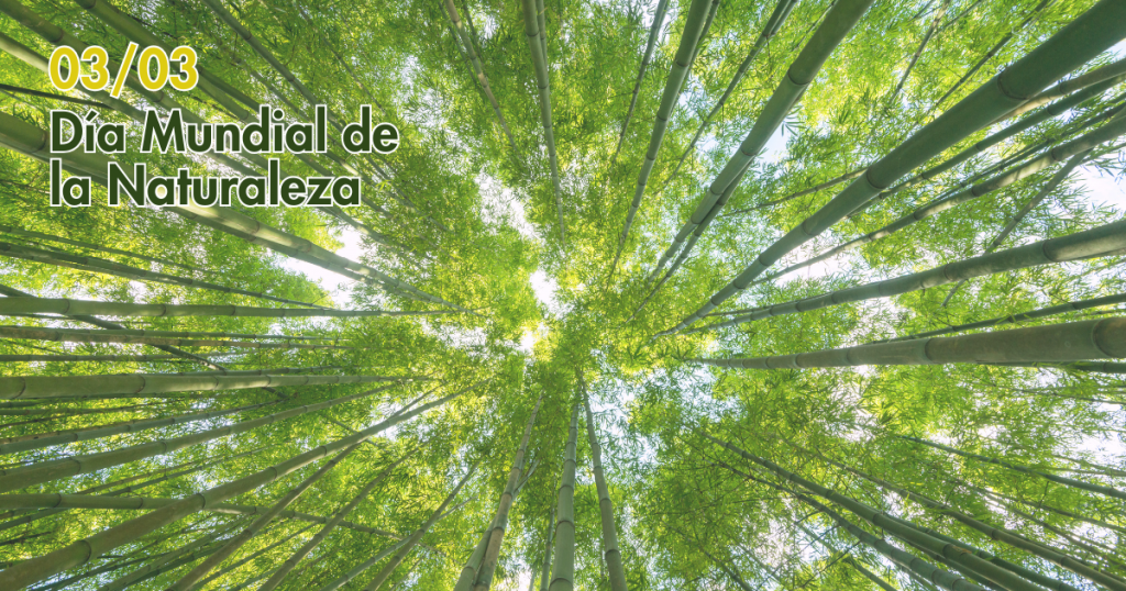 03 de marzo - día mundial de la Naturaleza