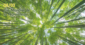 03 de marzo - día mundial de la Naturaleza