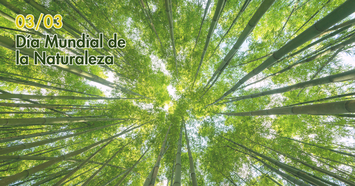 Lee más sobre el artículo 3 de marzo: Día Mundial de la Naturaleza