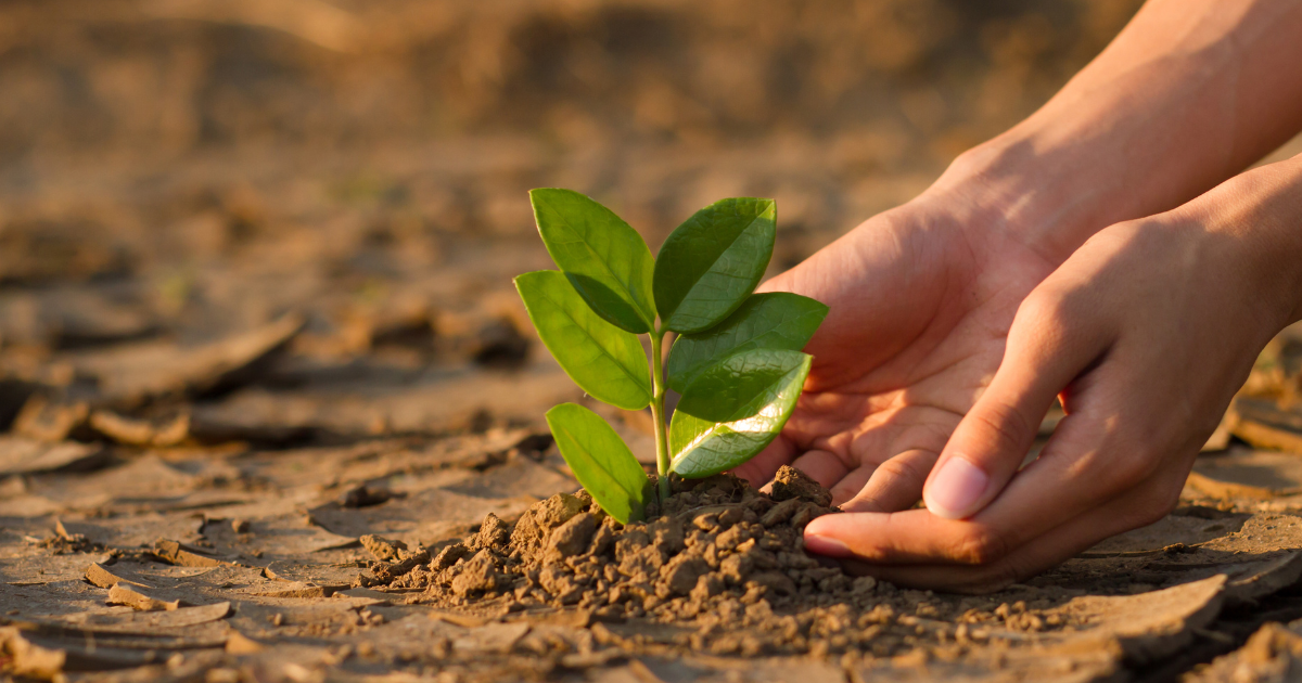 Lee más sobre el artículo 26 de marzo: Día Mundial del Clima