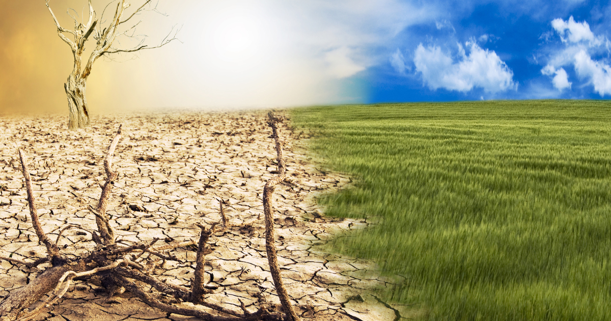 Lee más sobre el artículo 24 octubre: Día Mundial contra el Cambio Climático